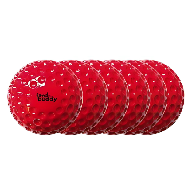 Feed Buddy Balls (pack of 6)